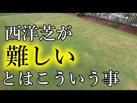 試験済みの芝生種子混合物 トピックス