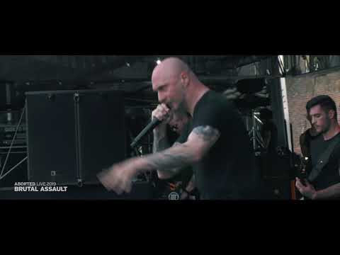 Brutal Assault 24 - Aborted (live) 2019