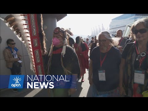 AFN executive names interim national chief | APTN News