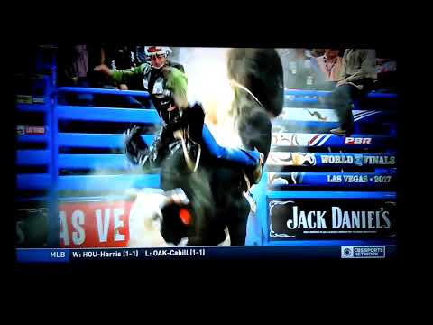 Pearl harbor is a bull, at bull riding is pass away year 2011 - 2018 😢