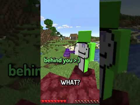 Minecraft, But I FACE REVEAL?!