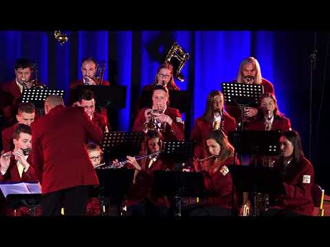 07   /   GODBA KOMENDA   /   VESELI MUZIKANT   /   NOVOLETNI KONCERT  2017 - FHD