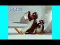 116 Like Father Like Pingu