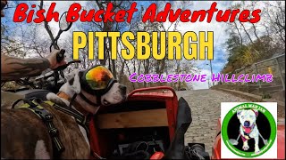 Bish Bucket Adventures - Pittsburgh - Canton Street Cobblestone Climb - Plasma Jam by The Plasmatics