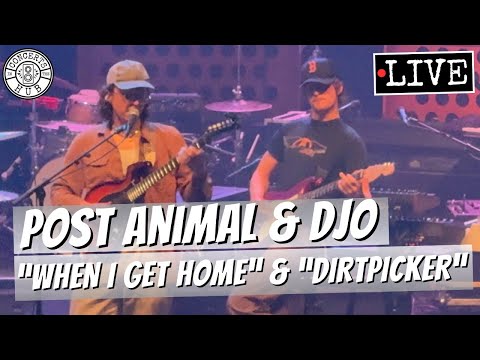 Post Animal & Djo "When I Get Home" & "Dirtpicker" LIVE