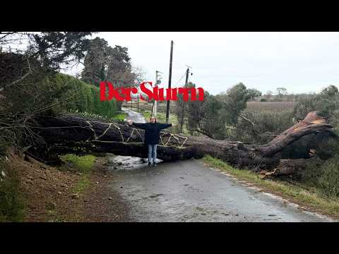 Unser Leben in Südfrankreich and Jelena