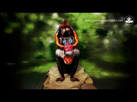 Mandrill - Fine Art Bodypainting by Johannes Stötter