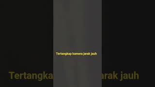 Download lagu Sekelebatan Kuntilanak di Lorong Gelap GOA AUL.bikin merindung mp3 Download lagu Sekelebatan Kuntilanak di Lorong Gelap GOA AUL.bikin merindung mp3
