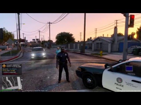 GTA 5 LSPDFR - Wilderness Callouts 0.4.0 -  Public Disturbance