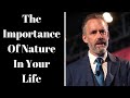 Jordan Peterson The Importance Of Nature In Your Life