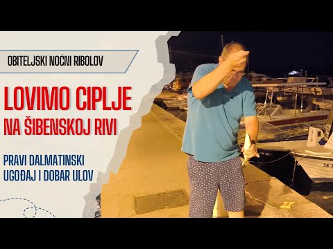 Obiteljska kužina u noćnom ribolovu. Lovimo ciplje u Šibeniku.