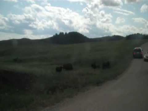 sturgis 3