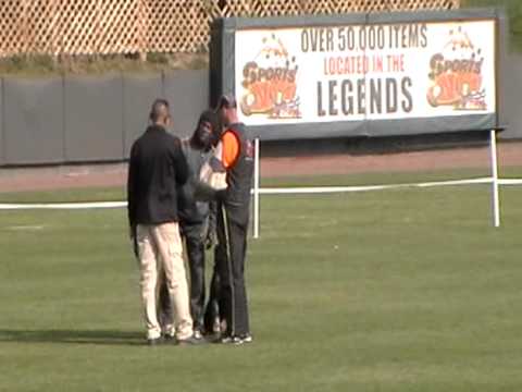 2011 GSD Nationals T Floyd w/Benny vom Floyd Haus