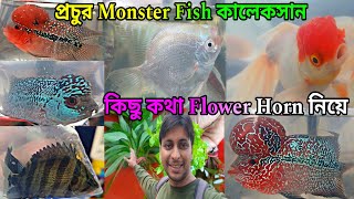 প্রচুর প্রচুর রঙিন মাছের কালেকসান | Monster Aquarium Fish | Serampore Fish Pet Haat | Aquarium Fish 