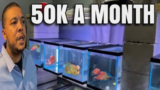 He Makes 50K/Month Selling Rare Flowerhorn Fish From Home