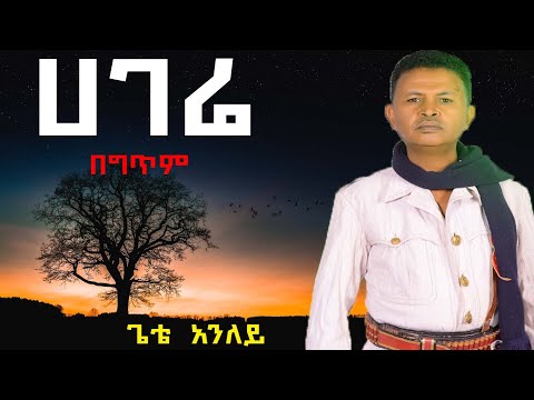 Gete Anley | Min alegn hagere (lyrics) _ ጌቴ አንለይ | ምን አለኝ ሀገሬ (በግጥም)