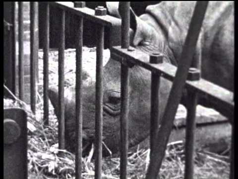 150 jaar diergaarde in Rotterdam, deel 1