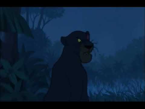 Bagheeraladdin Part 19 - Bagheera Goes to Tigress