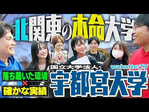 放射線技術学科 【地味にスゴい】農場で畜産・果樹・経済まで学べる！全部盛りの地方国立！宇都宮大学を徹底調査！【wakatte TV】#1330
