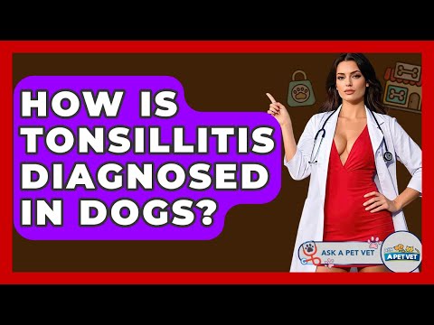 How Is Tonsillitis Diagnosed In Dogs? - Ask A Pet Vet