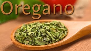 Oregano -- One of the World's Healthiest Foods | Dr. Weston