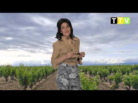 CUALCA MICRO turismo