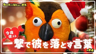 オープニング - 【恋愛大喜利】一撃で彼を落とす言葉の世界 ~有隣堂しか知らない世界308~