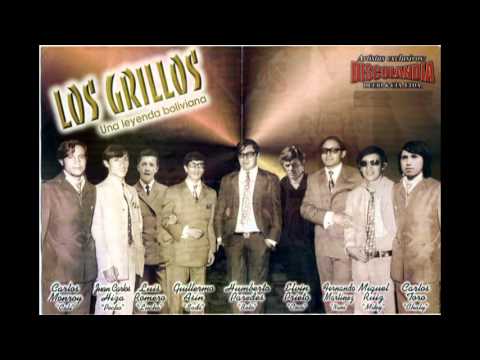 Los Grillos - Mi dueña y señora.mpg