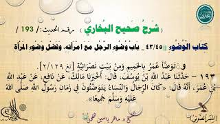193 - شرح صحيح البخاري : كتاب الوضوء باب وضوء الرَّجُل مع امرأته - الحديث 193 ج2 || ماهر ياسين الفحل image
