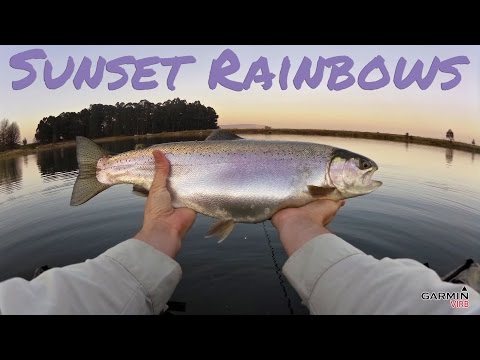 Fly Fishing Underberg (South Africa) 2014