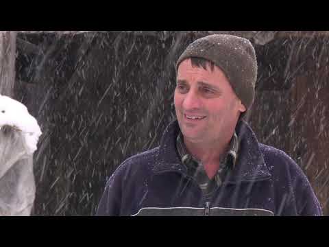 Anchetele comisarului Antonescu: Foame ucigǎtoare (@TVR1)