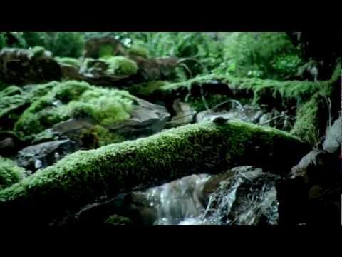 The Mill Behind the Scenes of VW Black Beetle advert