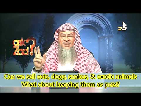 Can we sell cats, dogs, snakes & other exotic animals & Can we keep them as pets? - Assim al hakeem