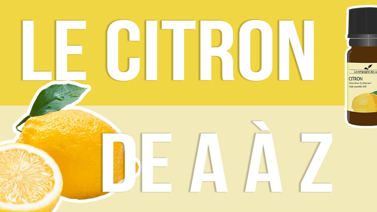 Huile essentielle de Menthe Citronnée : comment l'utiliser correctement ?