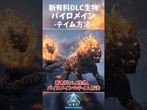 レピレムルについて詳しく解説