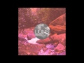 Lions - MTNZ [EP] 