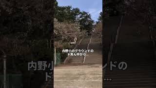 #新潟市西区の空#ウォーキング#朝活#朝うどん#日常Vlog#健康第一　気温は高いけれどお天気下り坂予報　パスタランチしてからのらの　アドバイザーセミナー出席今日も頑張りすぎず　楽しみながら☺️