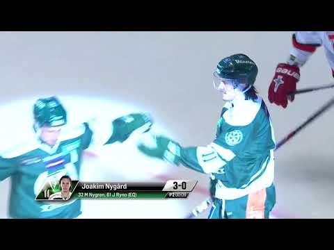 TOP 10 GOALS FÄRJESTAD 2016 - 17 *HD*