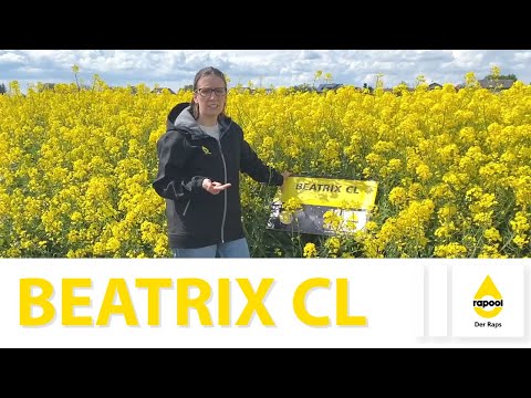 RAPOOL variety presentation BEATRIX CL