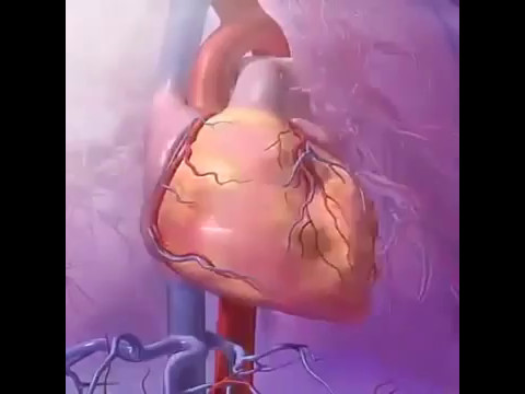 Usando desfibrilador no Coração