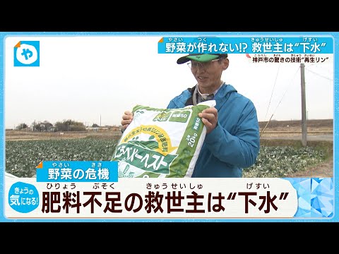 堆肥が臭いのはなぜですか?悪臭を防ぐために避けるべき5つの間違い  庭園