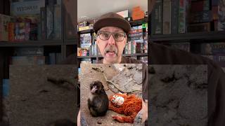 Grant Lyon - Coconuts video thumbnail