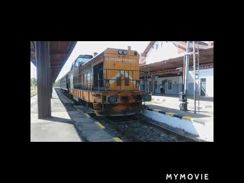 Trenuri Suceava-Putna