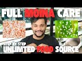Moina Culture Guide How To Grow Feed Care For Moina At Home Step By Step