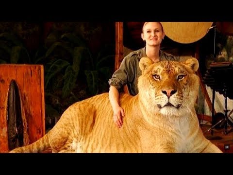 The strangest hybrid animals that actually exist!