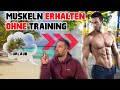 So verlierst du keine Muskeln | Trainingspause