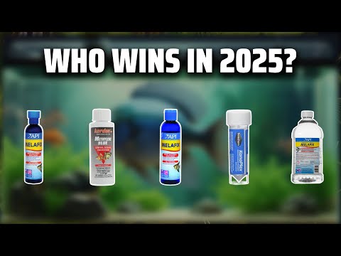 The Top 5 Best Fin Rot Cure in 2025 - Must Watch Before Buying!