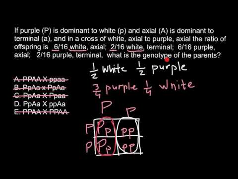 How to solve phenotype-genotype problems