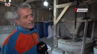 Sakarya'nın Tarihe Meydan Okuyan 1500 Yıllık Değirmeni