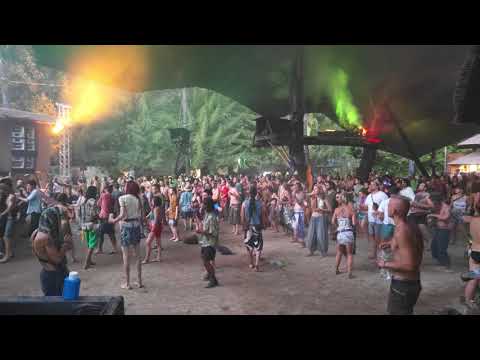 Mo:dem Festival 2021 V1 Swamp Kliment 14.08 20:18 8k HDR